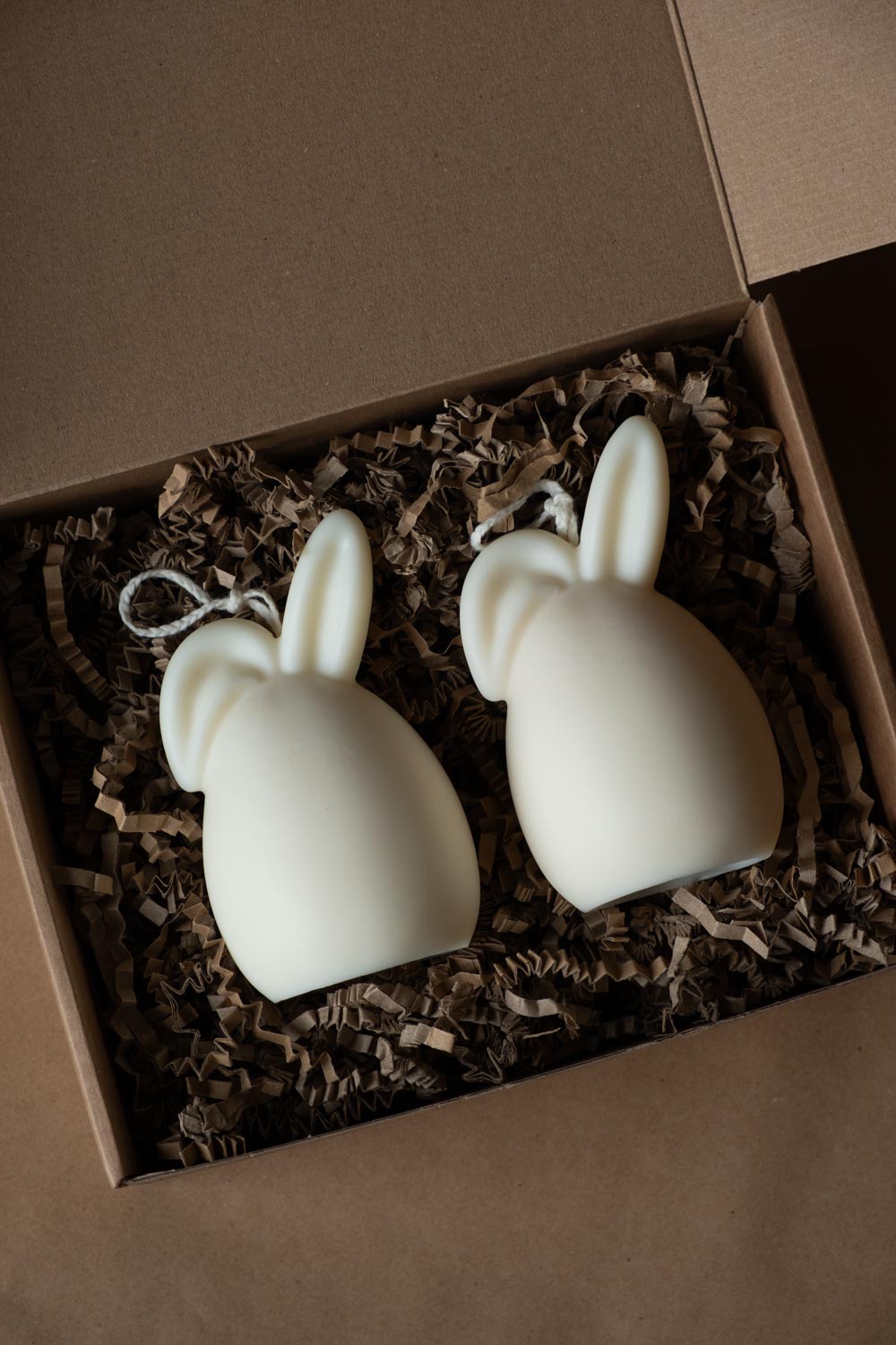 bunny_set_2392